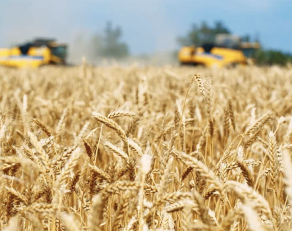 The Rising Value of Agricultural Real Estate in Nevada: Small Ranches and Farmlands - 1 (800) 880-7954