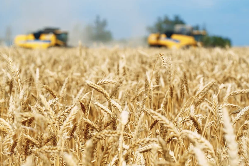 The Rising Value of Agricultural Real Estate in Nevada: Small Ranches and Farmlands - 1 (800) 880-7954