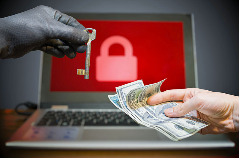 Identity Theft in Nevada Real Estate: Understanding and Preventing the Threat - 1 (800) 880-7954