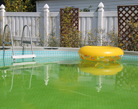 Henderson Residents Warned Against Renting Backyard Pools: City Issues Notice