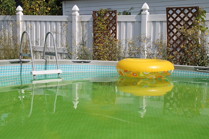 Henderson Residents Warned Against Renting Backyard Pools: City Issues Notice