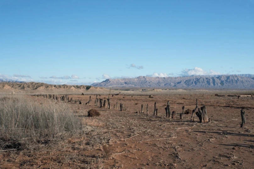 St. Thomas: The Town That Went Underwater - Property Records of Nevada